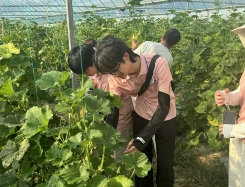 从红色沃土到振兴田野 leyu乐鱼在线官网学子开展暑期社会实践